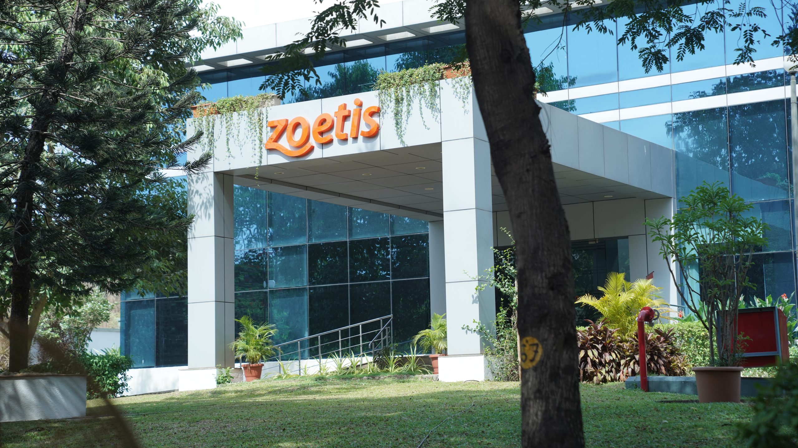 Zoetis Employee Engagement Day